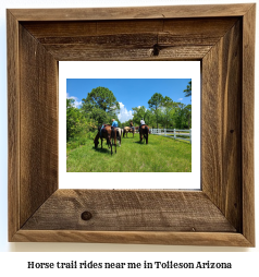 horse trail rides near me in Tolleson, Arizona